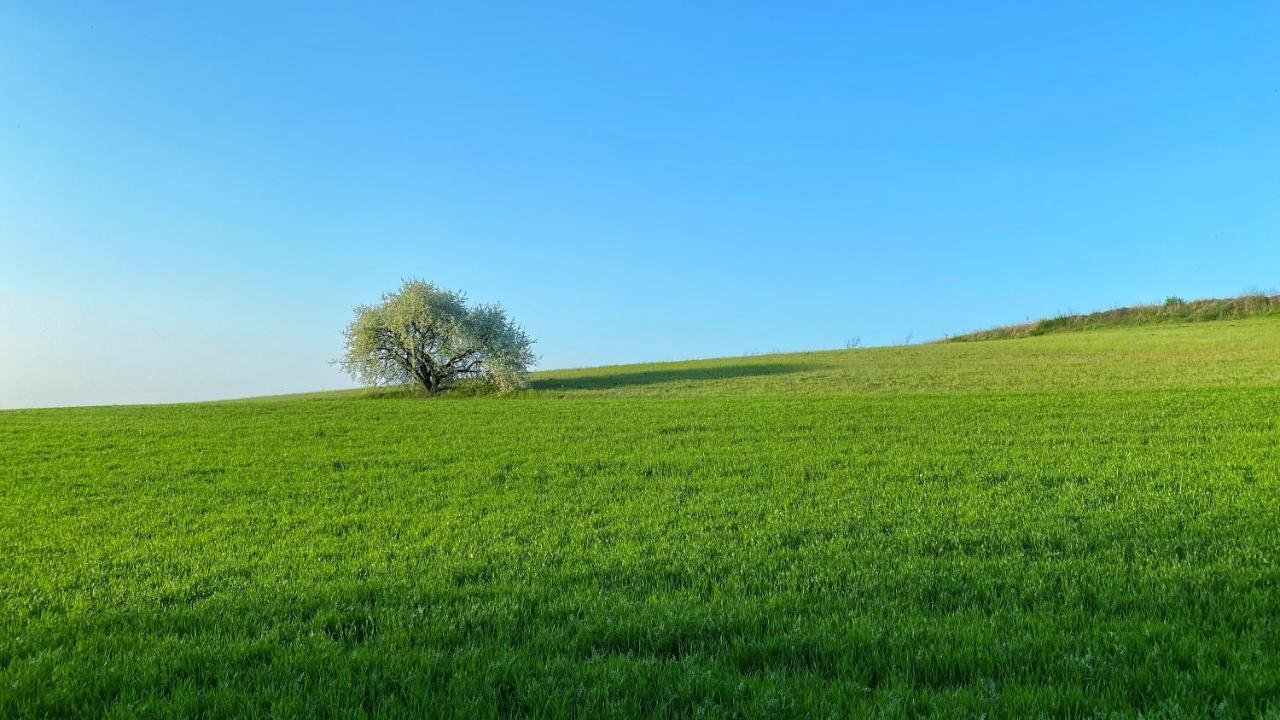 Agriturismo Albana Castiglione Delle Stiviere Exteriör bild
